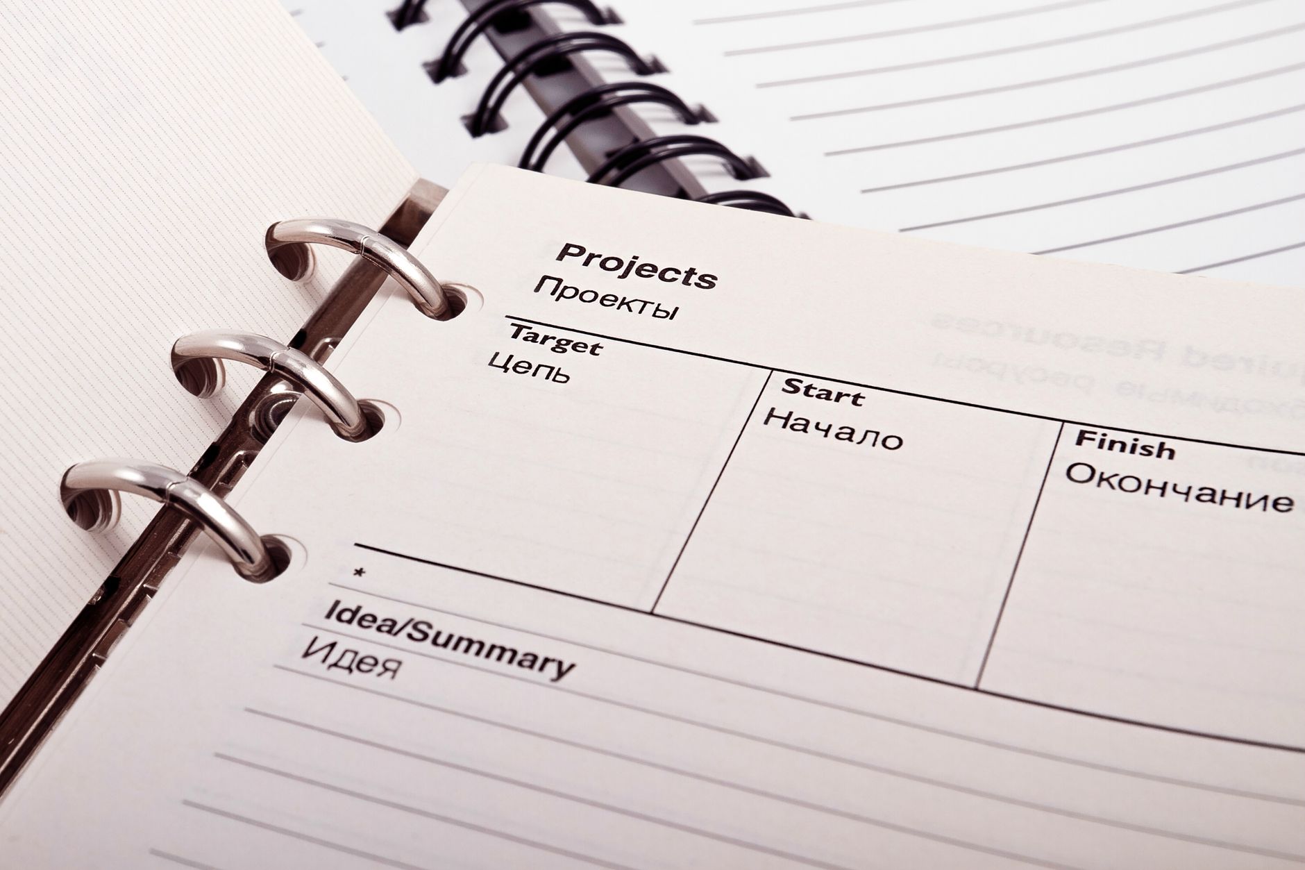 Project plan and schedule documents laid out for review